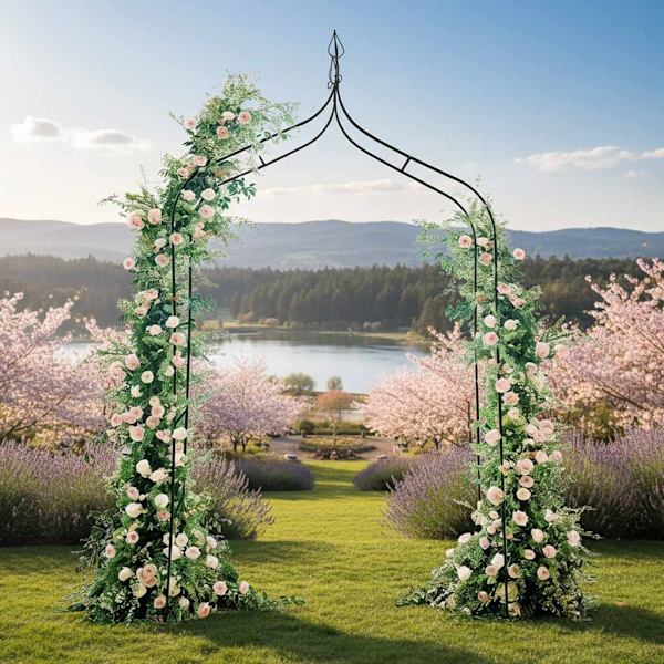 Havepavillon espalier til klatreplanter stål sort 265 cm