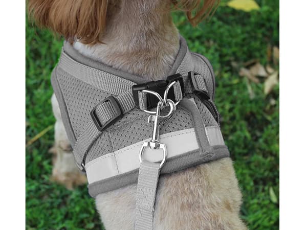 Trykfordelende hundesele XS med line 110 cm grå refleks