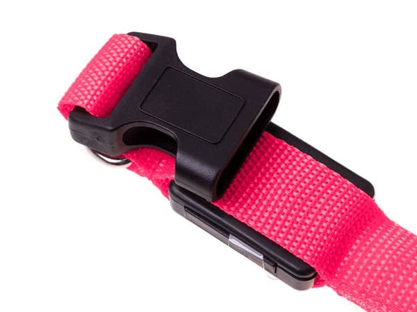 LED-halsbånd hund/kat justerbart 46–59 cm rosa inkl. 2 batterier