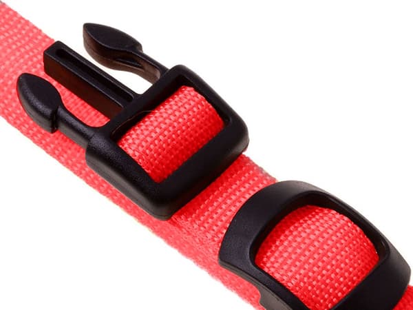 LED-halsbånd hund/kat justerbart 46–59 cm rød inkl. batterier