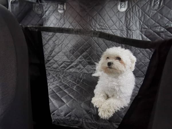 Hundmatta bil baksäte vattentät med sidor halkfri universell Svart
