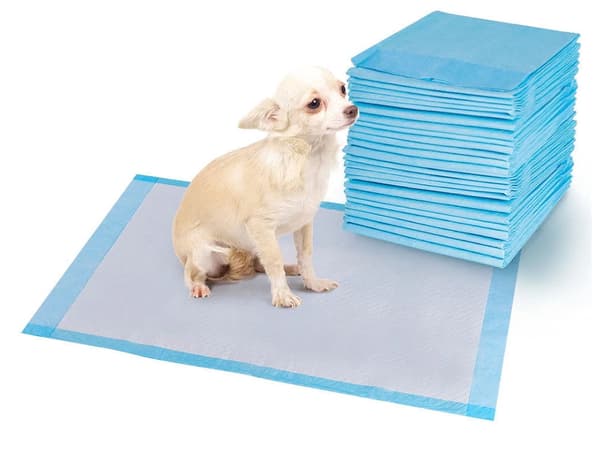 Træningsunderlag til hund 45x60 cm absorberende engang 50-pack