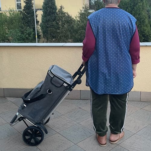 Indkøbsvogn sammenklappelig 30 kg med taske 54x24x32 cm grå