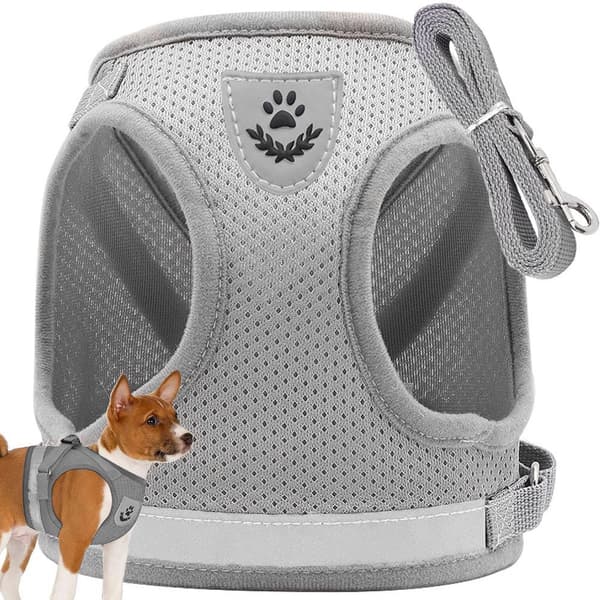 Tryckfördelande hundsele XS med koppel 110 cm grå reflex