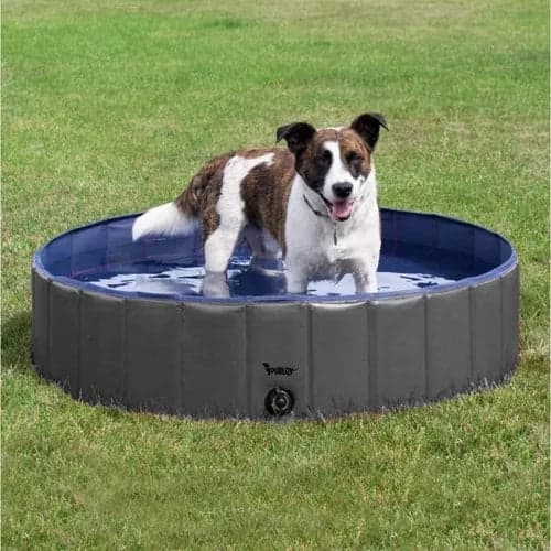 Hundpool fällbar 120x30 cm 300 l med avloppsventil halkfri botten