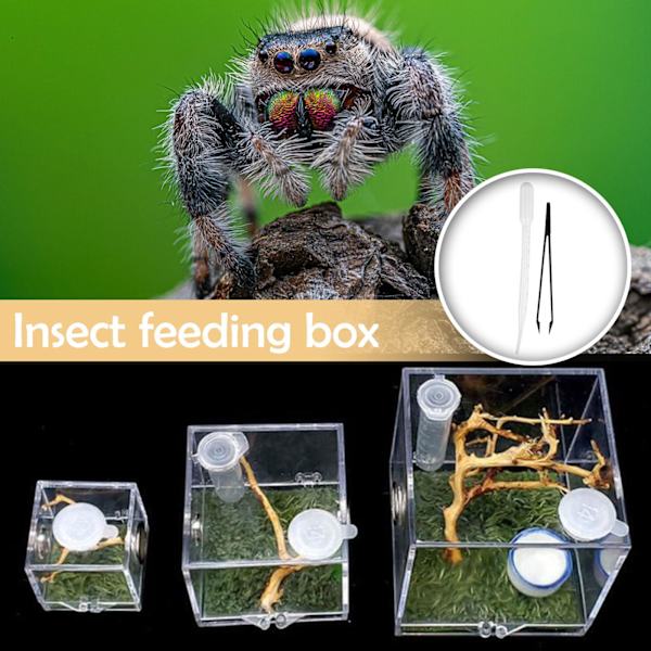 NY Hoppande Spindel Habitat Akryl Avelslåda Bur Liten För S M One-size