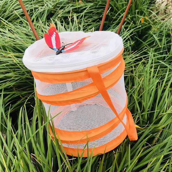 Mesh Hushålls Fjärilbur Insektsbur Förvaringshink Växtbur K3C4 orange 1pcs