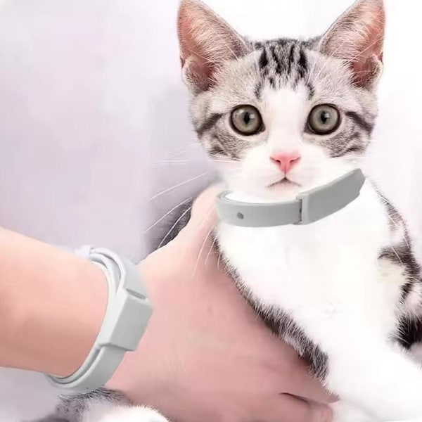 Halsband för avmaskning av husdjur, justerbart halsband för hund, katt, kattunge`- for cat 1pcs