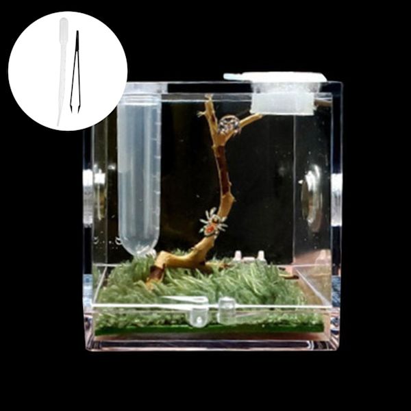 NY Hoppande Spindel Habitat Akryl Avelslåda Bur Liten För S thermometer One-size