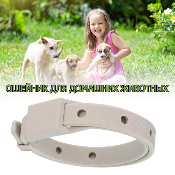 Halsband för avmaskning av husdjur, justerbart halsband för hund, katt, kattunge`- for cat 1pcs