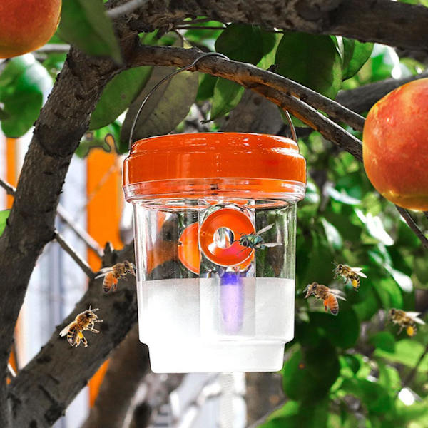Solardriven getingfälla lampor Vattentät Utomhus Hängande Fälla Bi Hornet! orange onesize