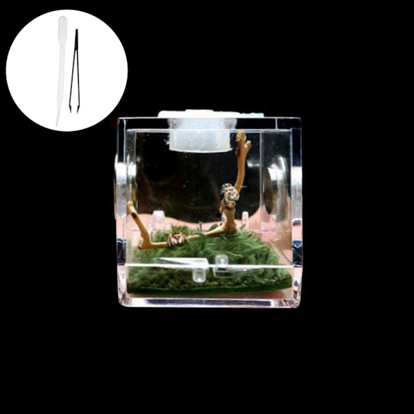 NY Hoppande Spindel Habitat Akryl Avelslåda Bur Liten För S thermometer One-size
