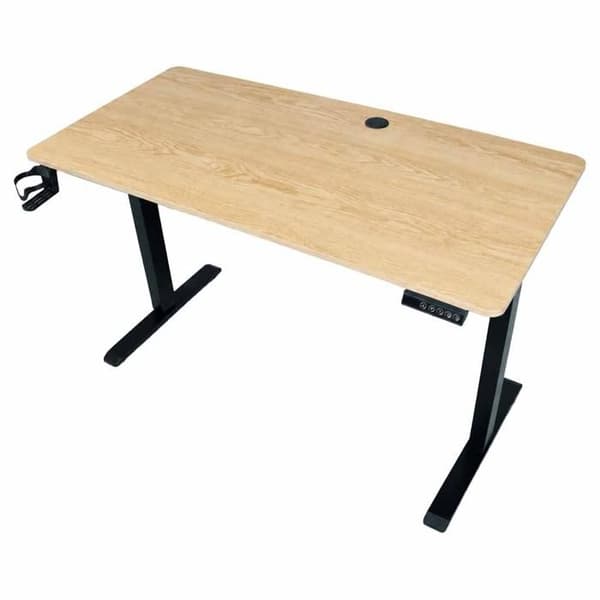 Elektrisk Höj- och Sänkbart Skrivbord 120 x 60 cm med Minne och Kontrollpanel