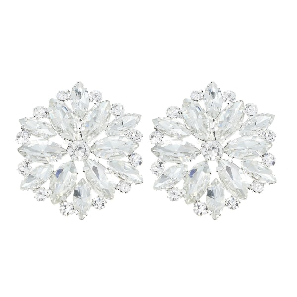 TG 2 färger Rhinestone skoklämmor, eleganta färger legering blomma kristall