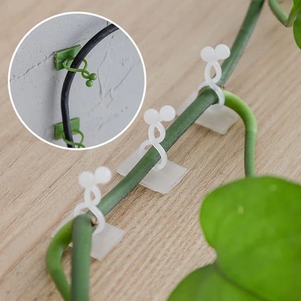 50-pak selvklæbende planteklemmer til klatreplanter og kabelstyring, vægmontering, grøn medium Green Medium