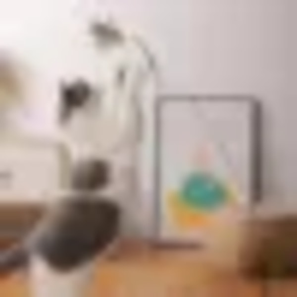 Simuleringsfågel interaktiv kattleksak Rolig fjäderfågel med klocka Stickleksak för kattunge som leker Teaser Wand Toy Cat Supplies