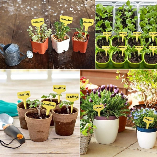 100 stk holdbare plantetiketter, T-type plantetiketter Vandafvisende have