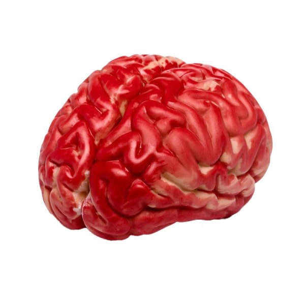 TG Artificiell Hjärna Röd