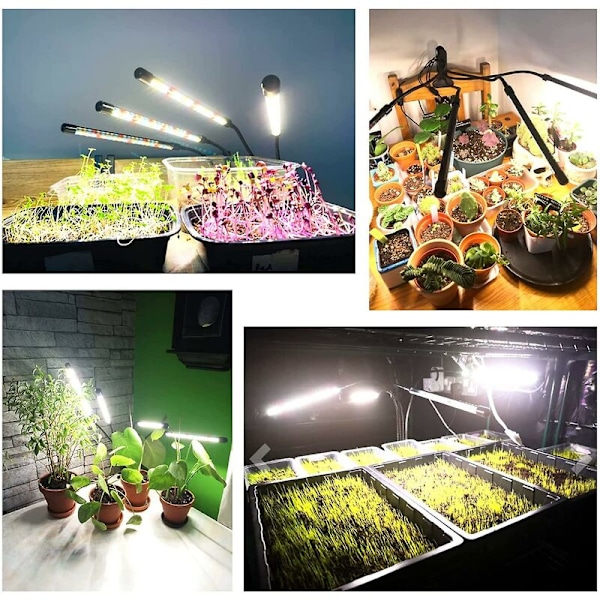 Plante Lampe, 2020 Ny 80 LEDs 4 Hoveder Vækstlys, AUTO Timer - ON/OFF Led Vækstlys til Frøplanter, Sukkulenter, Orkide (660nm/3000K/5000K)