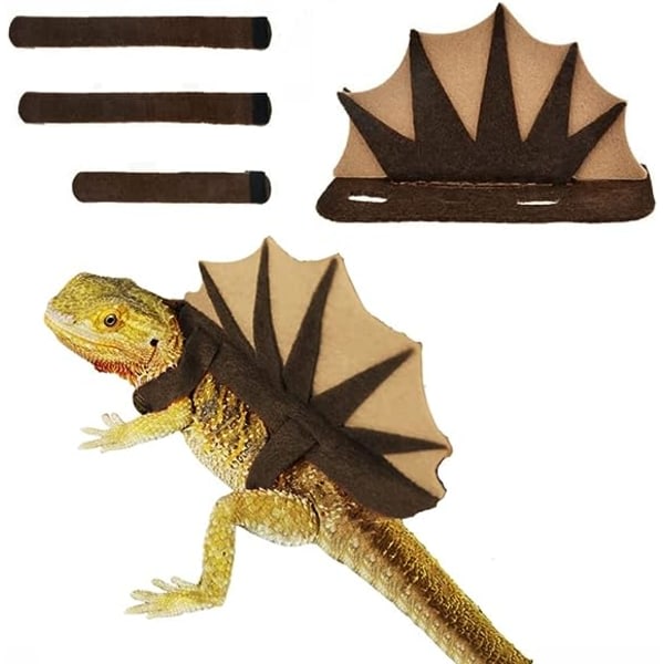 Skäggig drake Dinosauriekostym Handgjord outfit Filtklædsel for Crested Gecko Kamæleon Iguana Reptil