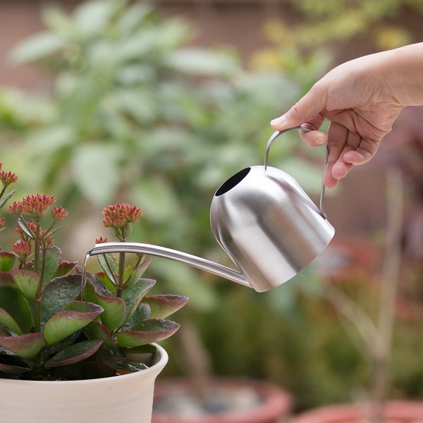 Mini vannkanna med långt munstycke for krukväxter i hagen