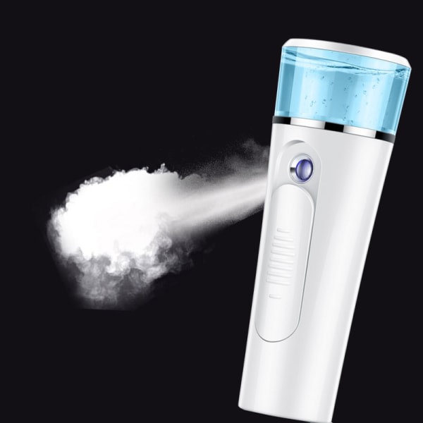 TG Nano Mist Sprayer Håndholder jonisk ansigtsspray (vit)