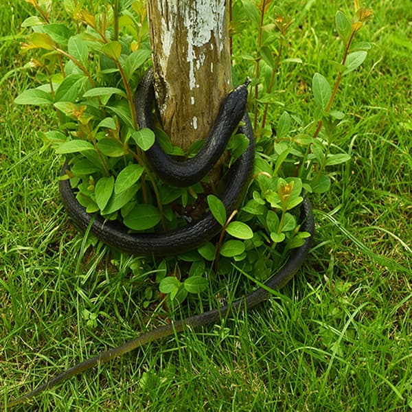 Realistic Rubber Snake, 130 cm Long Prank Fake Snake