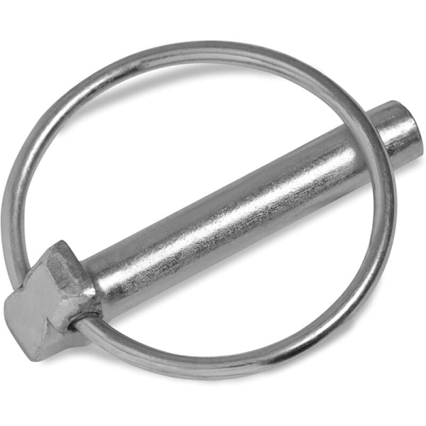 6mm x 45mm stifter 6.0mm stifter [10 styk] elektrogalvaniseret