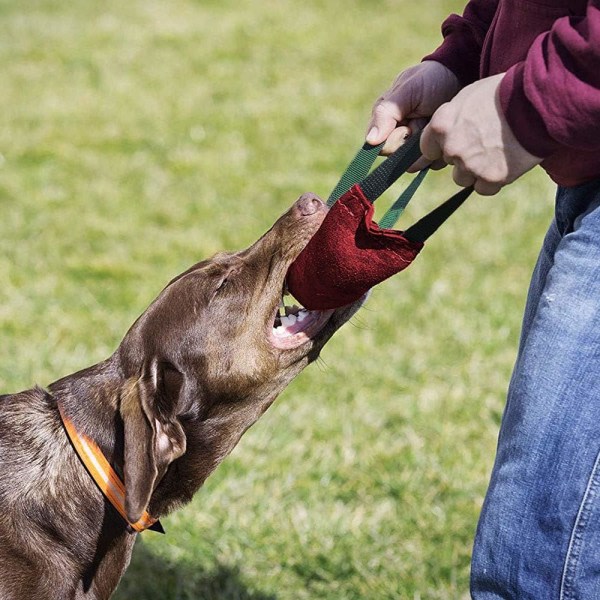 Galaxy PetGens hundtuggleksak med to løkker - svært robust hundleketøy - K9-trening - 40 cm - tauleke for hund