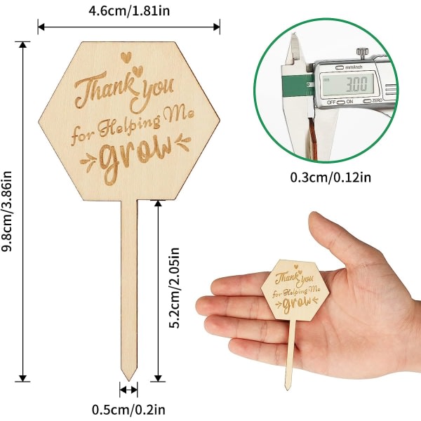 Galaxy 24 stk tre-etiketter, takk for at du hjelper meg å dyrke dekorative plante-markører miljøvennlig