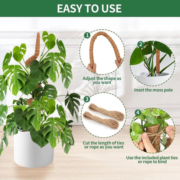 2 st - Moss pinne för växter pinnar Växtklätterpinnar ramstöd hjälp för Monstera 70 cm_yu