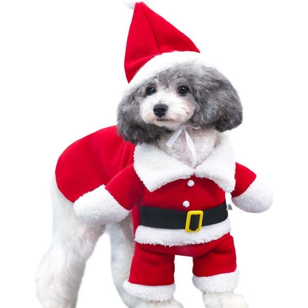 Galaxy Cat Standing Two Feet Costume Santa Pet Huvjacka för små och medelstora husdjur (XL) xl