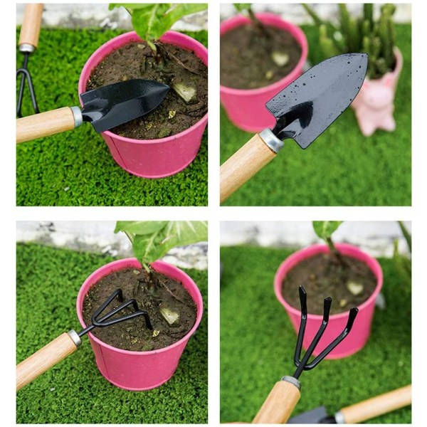 3 kpl Puutarhatyökaluja, Sarja, Bonsai-työkalut, Mini Puutarha