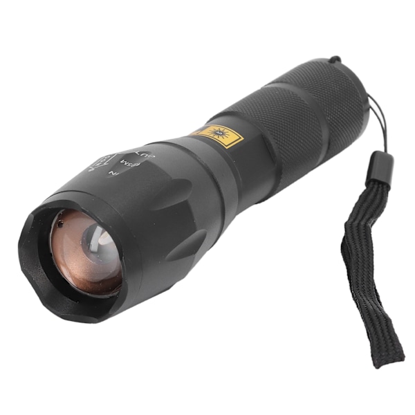 Svart ljus ficklampa 365nm Hög ljusstyrka Handhållen LED UV-lampa