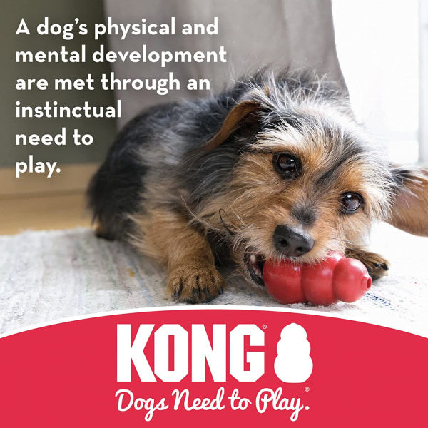 KONG - Valp Binkie - Myk tanningsgummi, godisdispenserende hundleke