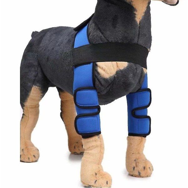 Hundkirurgiskt skydd, knäskydd, benskydd (blå S)