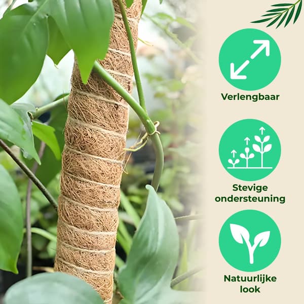 Kokosfiber-mossstång för klätterväxter, 2-pack 40 cm utdragbara växtstöd för inomhusväxter som Monstera och Gullranka