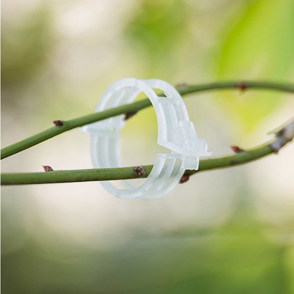 Planteklemmer for plantestøtter/espalier 100-pakning Transparent Gennemsigtig