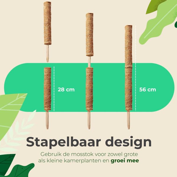 Kokosfiber-mossstång för klätterväxter, 2-pack 40 cm utdragbara växtstöd för inomhusväxter som Monstera och Gullranka
