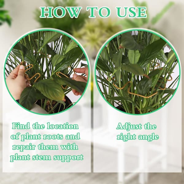 5-pack Monstera växtstöd, klätterhållare i kolstål för krukväxter inomhus, bladstil