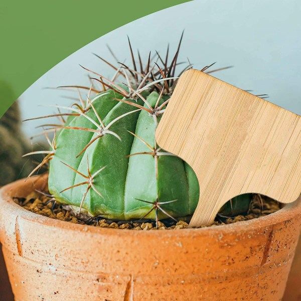50 ST Bambu Plantemærker, T-Formet Plantepinde Haveetiketter