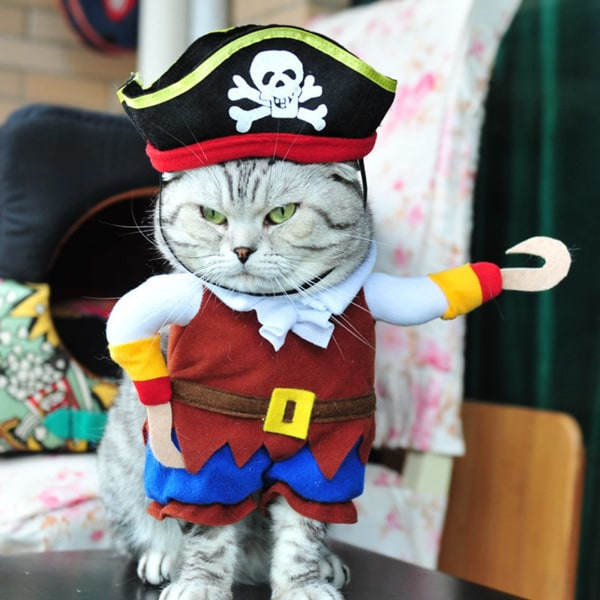 Hauska kissan piraattiasu - Karibian tyyli, Cosplay-juhla-asu lemmikkieläimille hattuineen (koko M)