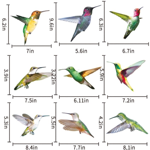 Kollisjonsbeskyttende vindusdekor 9 deler Kolibri Vindusdekor Fågler Vindusdekor Glassdekor