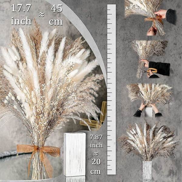100 stk naturlig tørket pampasgressbukett tørket blomst for bryllup--