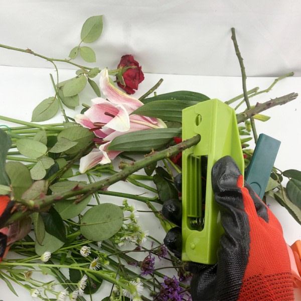 TG Eplegrønn Tang-Florist Blomsterarrangement Roser Blomster P