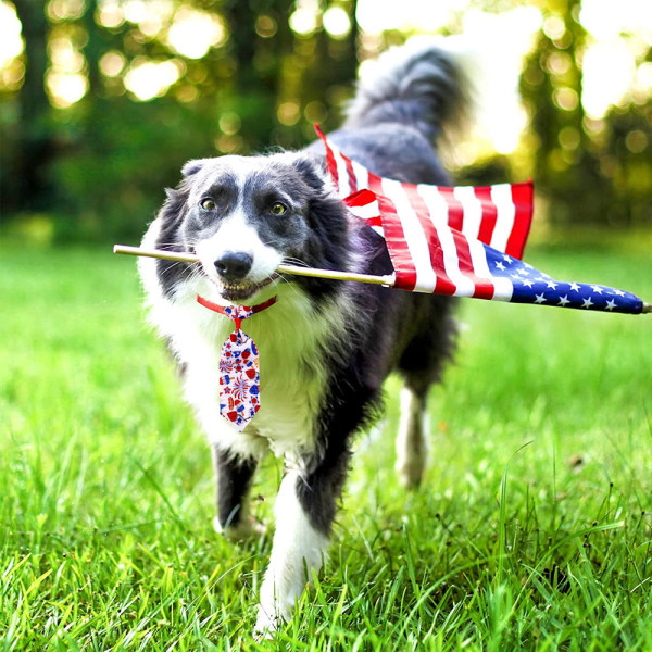 TG 3:e 4:e juli Hundhalsband Justerbar Patriotisk Husdjursfluga