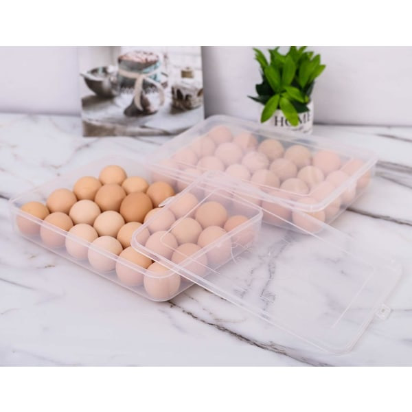 1-pack Kylskåpsäggställ med lock, transparent 24 Devil Egg Tray Organisera