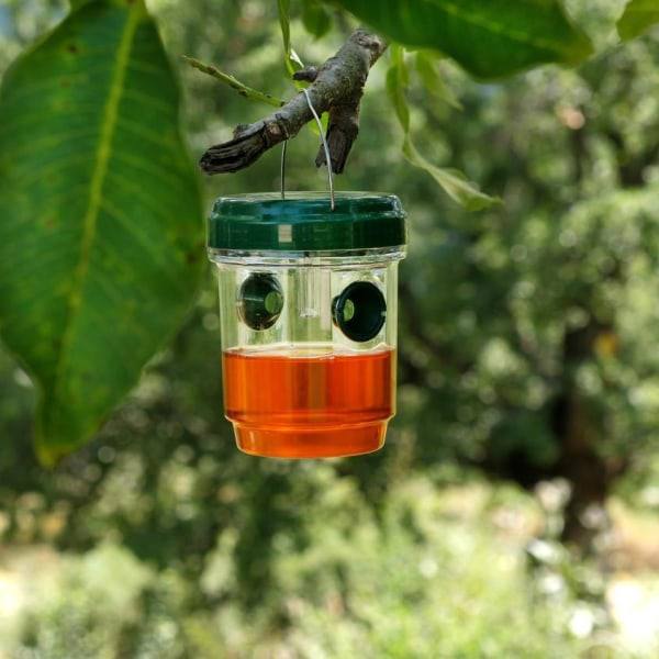 TG Solcellsdriven Insektsfälla Grön