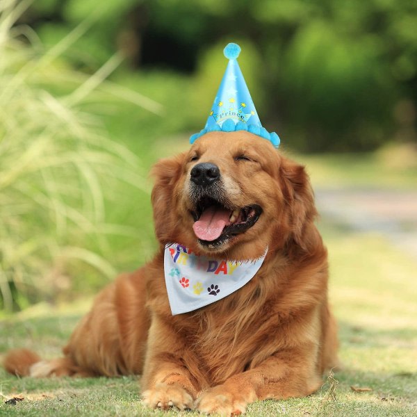 Dog birthday deals bandana