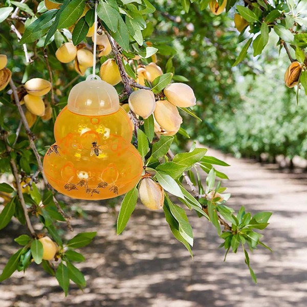 TG Ampiaispyydystin, ampiaisanso, ulkoampiaispelotin Killer Inse Orange Yksi koko